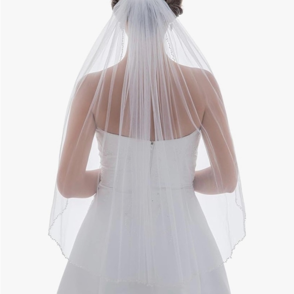 David's Bridal Elegant ivory, fingertip, veil, silver embroidery
